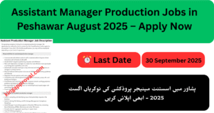 Assistant Manager Production Jobs in Peshawar August 2025 – Apply Now
